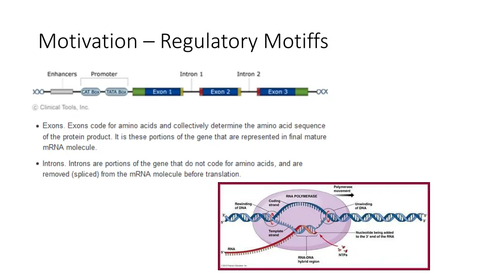 motivation regulatory motiffs