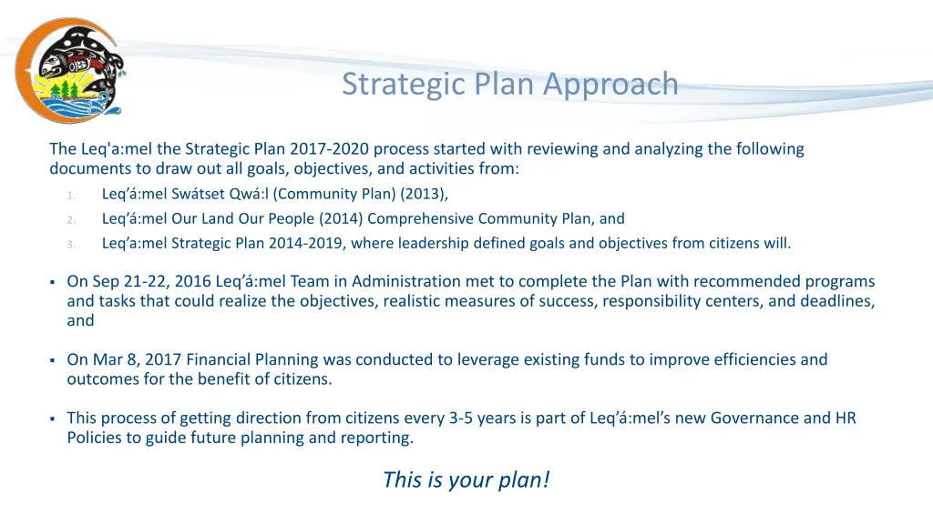 strategic plan approach