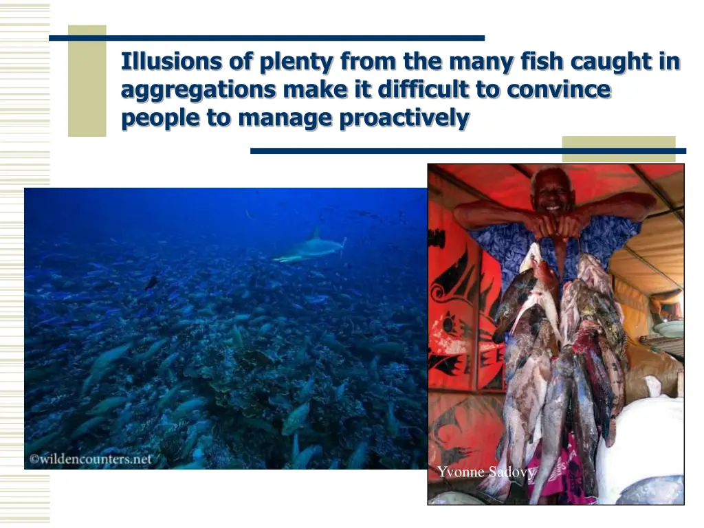 illusions of plenty from the many fish caught