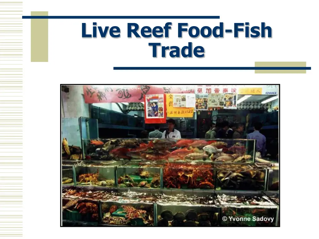 live reef food fish trade