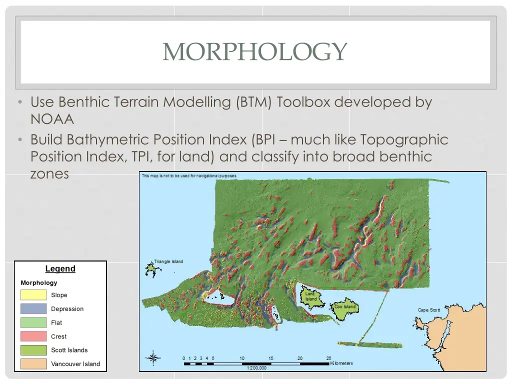 morphology