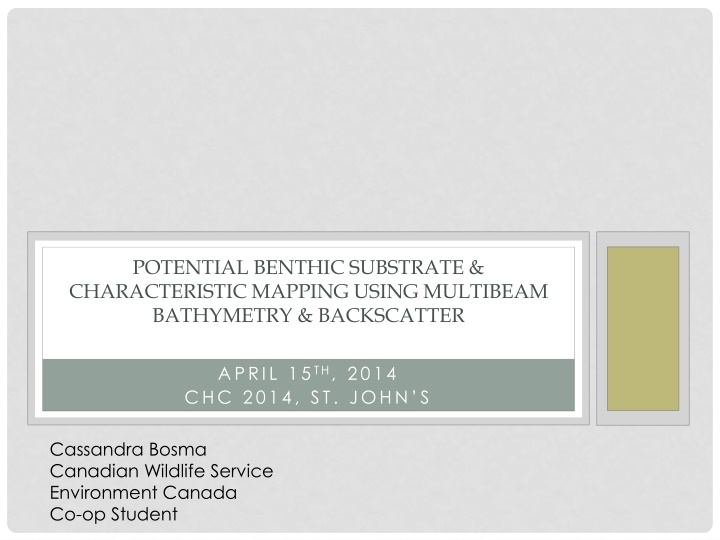 potential benthic substrate characteristic