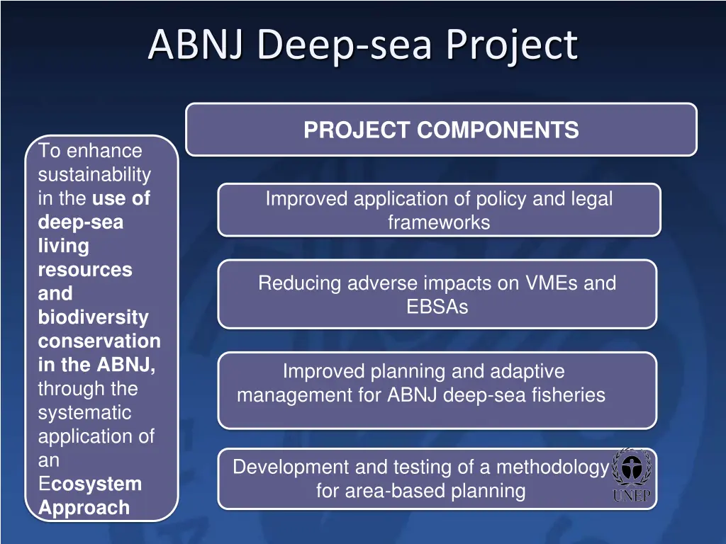 abnj deep sea project