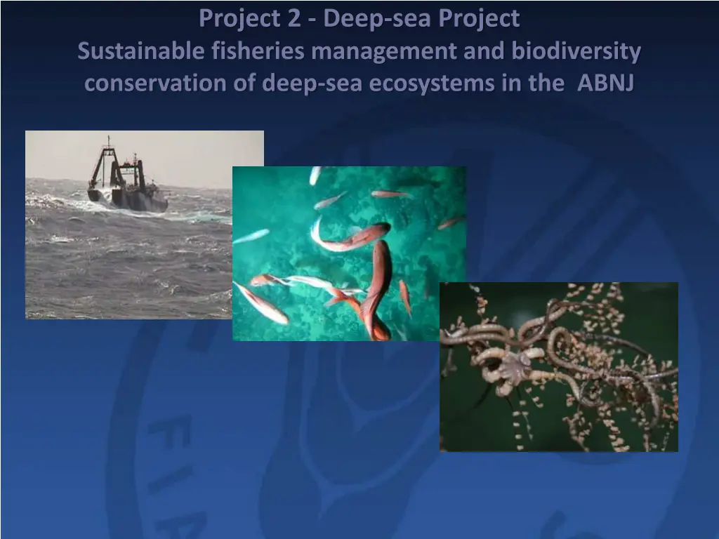 project 2 deep sea project sustainable fisheries