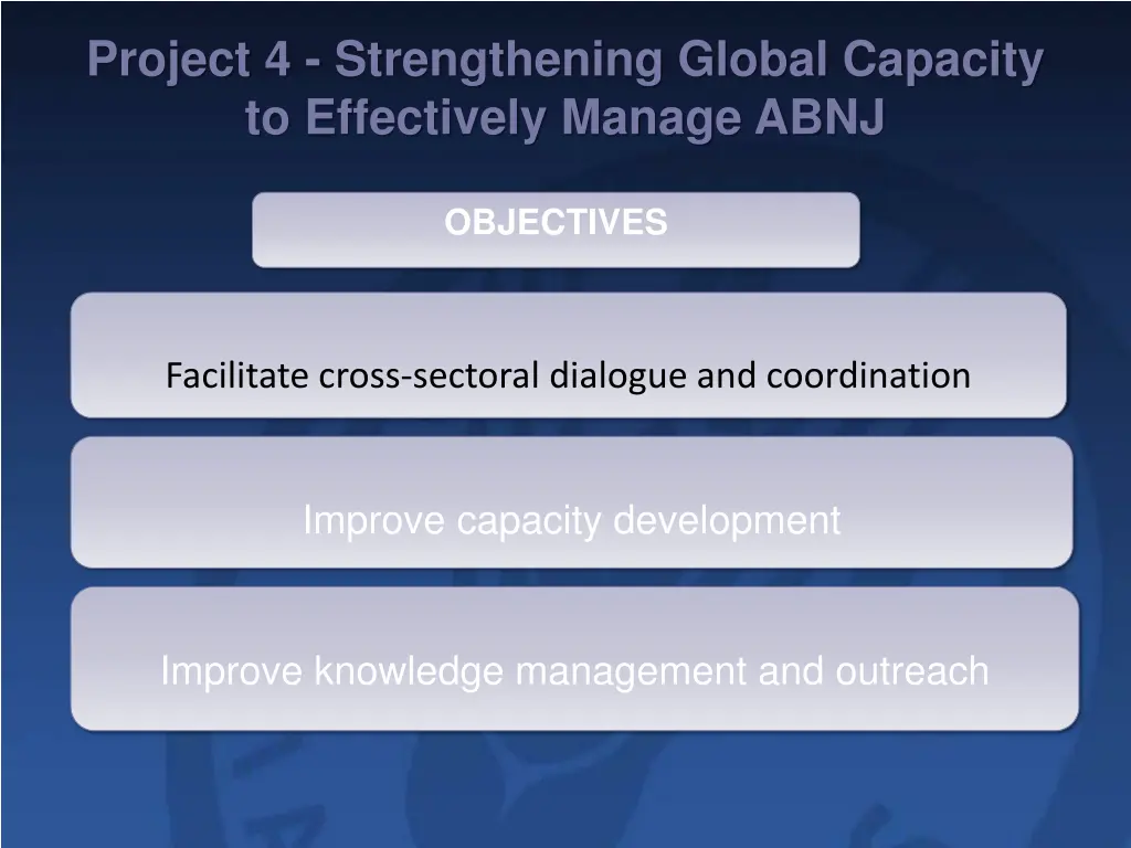 project 4 strengthening global capacity 2