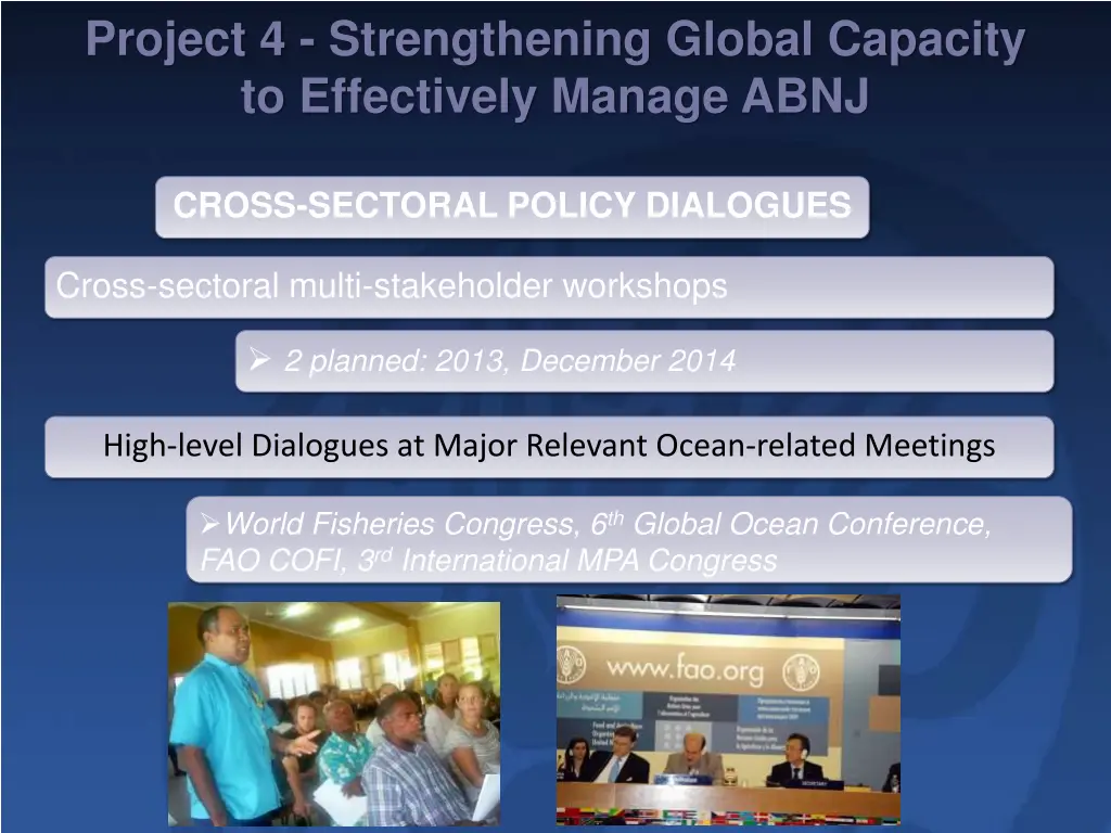 project 4 strengthening global capacity 3