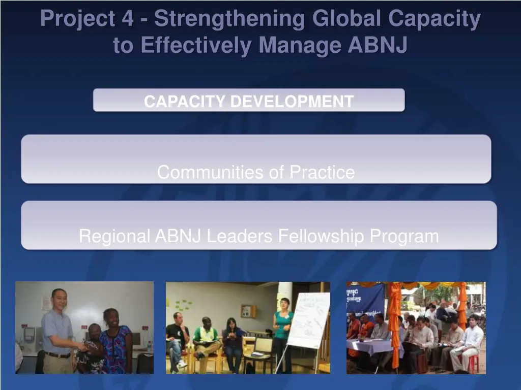 project 4 strengthening global capacity 4