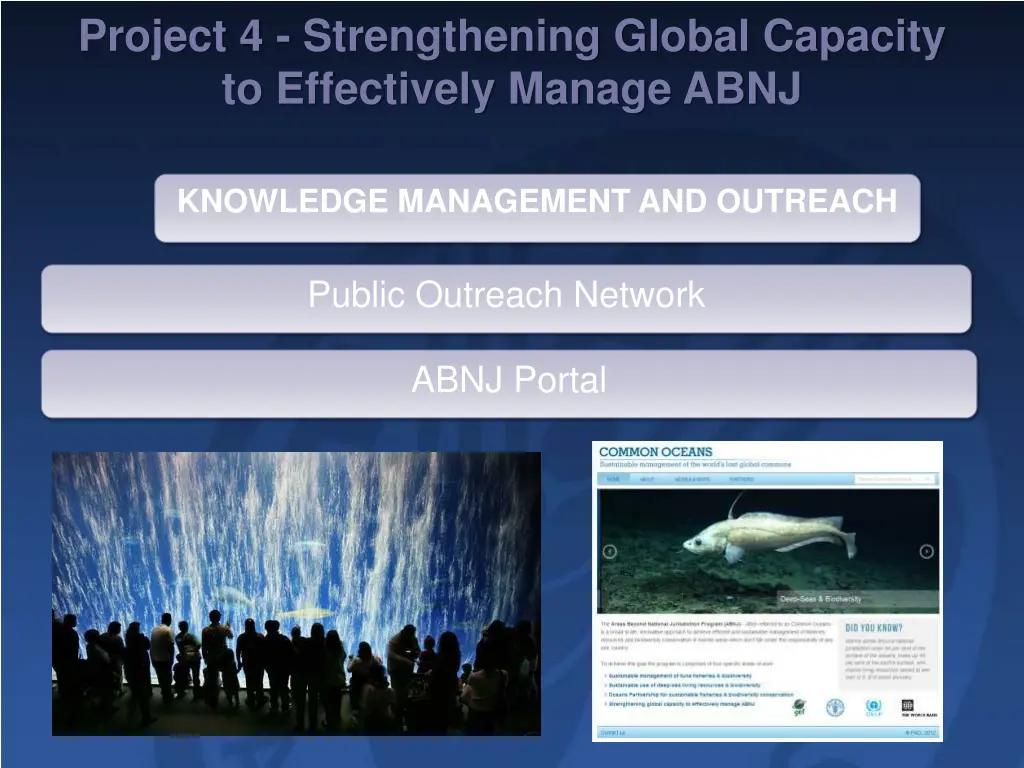 project 4 strengthening global capacity 5