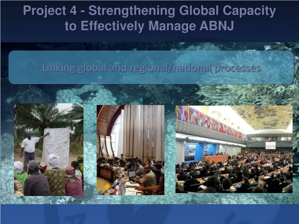 project 4 strengthening global capacity