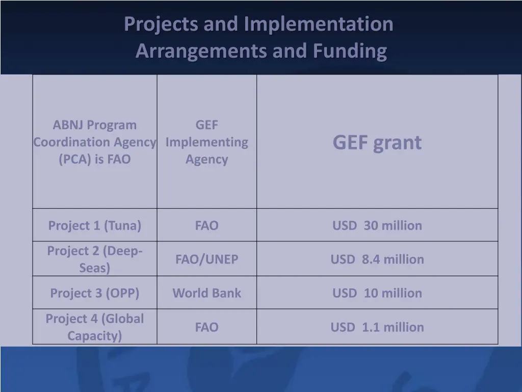 projects and implementation arrangements