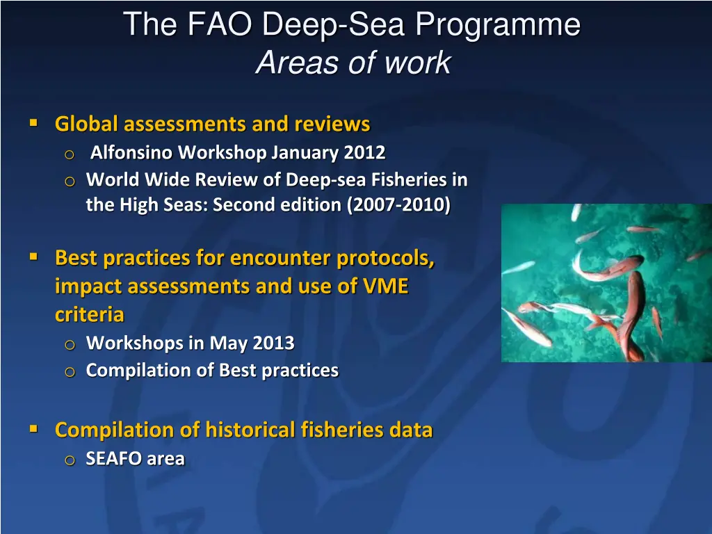 the fao deep sea programme areas of work