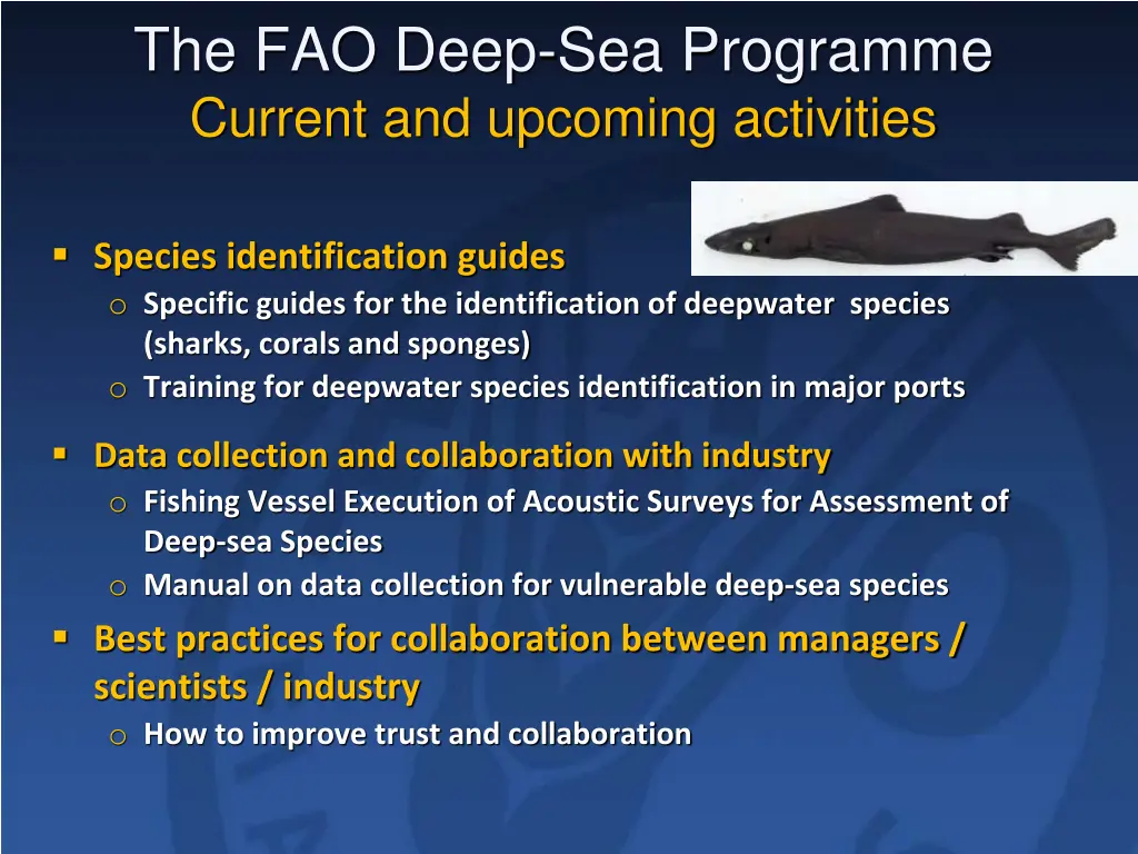 the fao deep sea programme current and upcoming