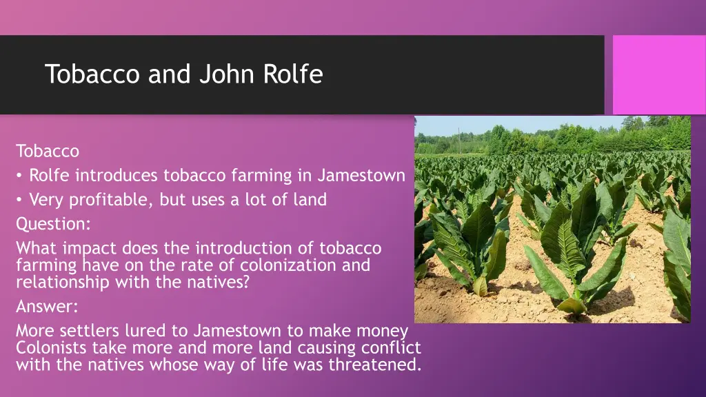 tobacco and john rolfe