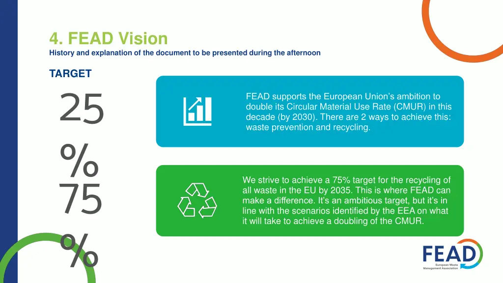 4 fead vision history and explanation 2