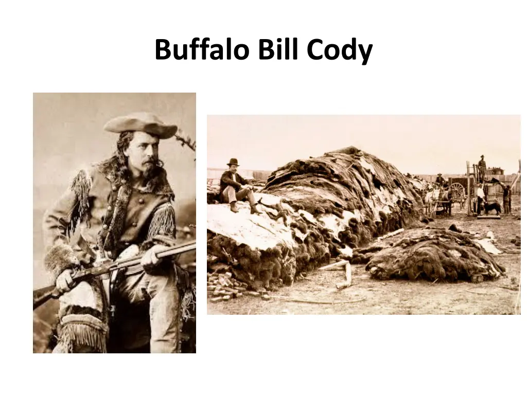 buffalo bill cody