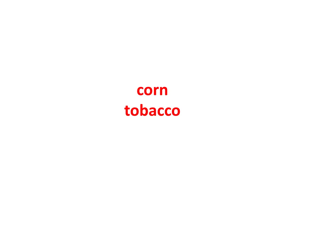 corn tobacco