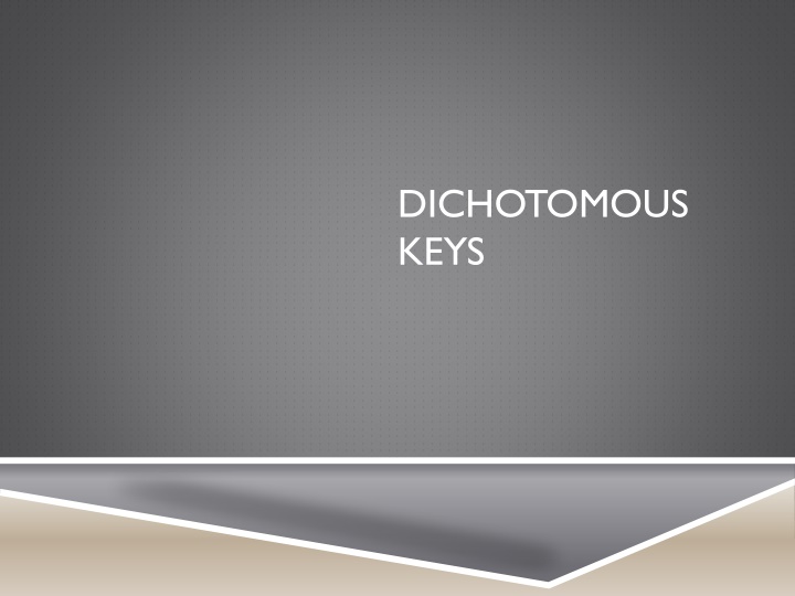 dichotomous keys