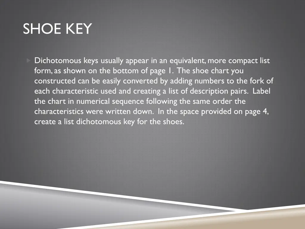 shoe key 3