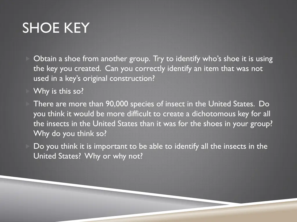 shoe key 5