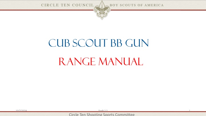 cub scout bb gun