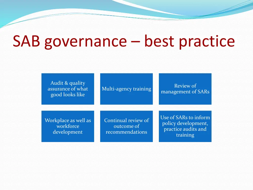 sab governance best practice