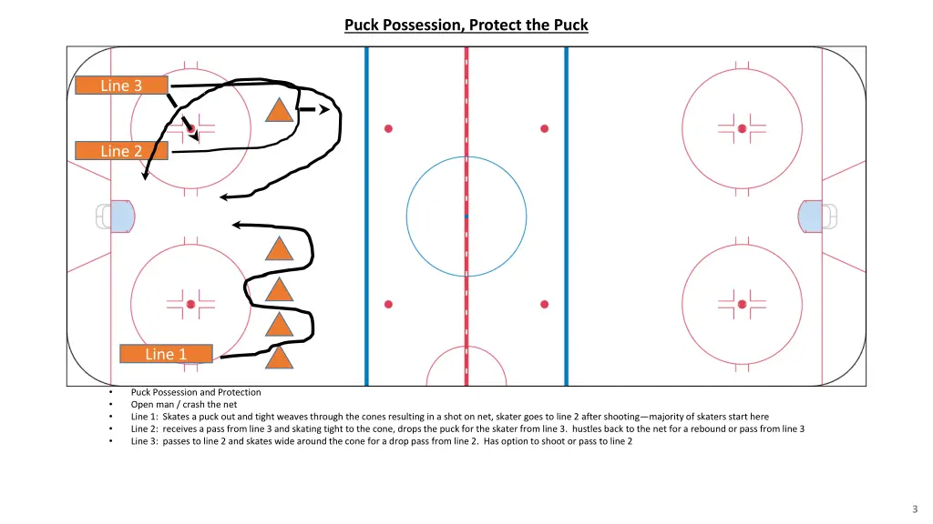 puck possession protect the puck