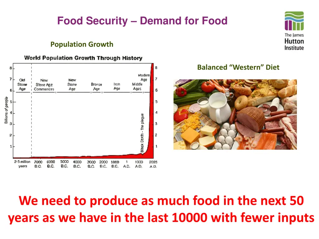 food security demand for food