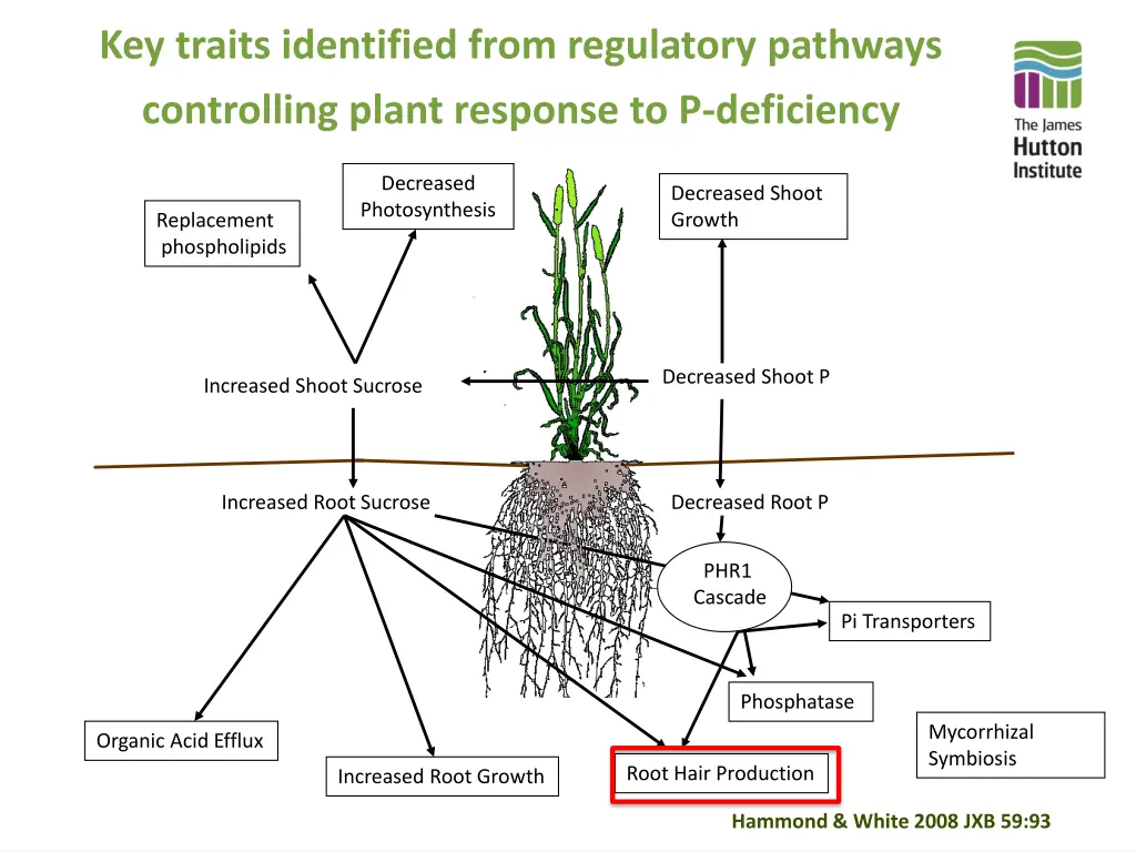 key traits identified from regulatory pathways