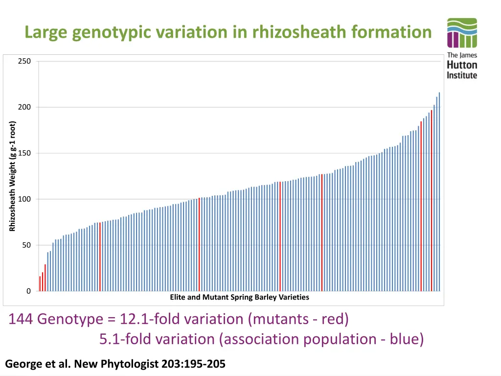 large genotypic variation in rhizosheath formation