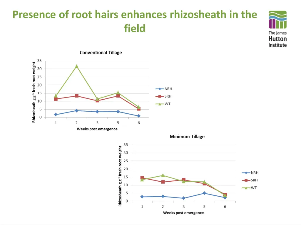 presence of root hairs enhances rhizosheath