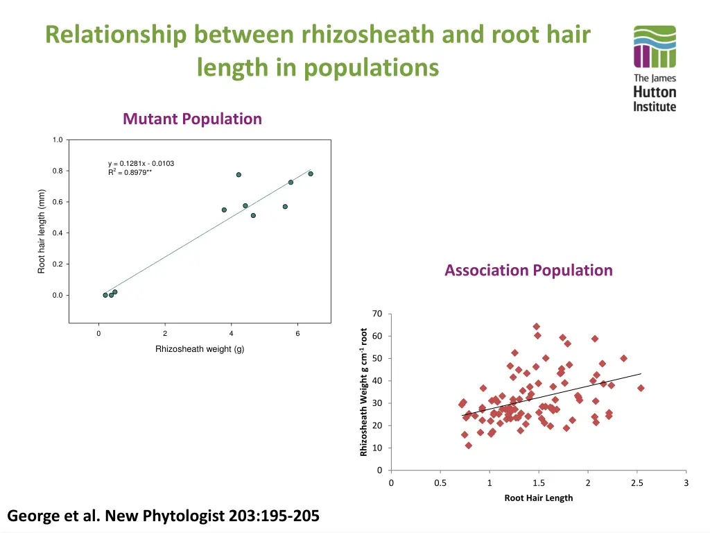 relationship between rhizosheath and root hair