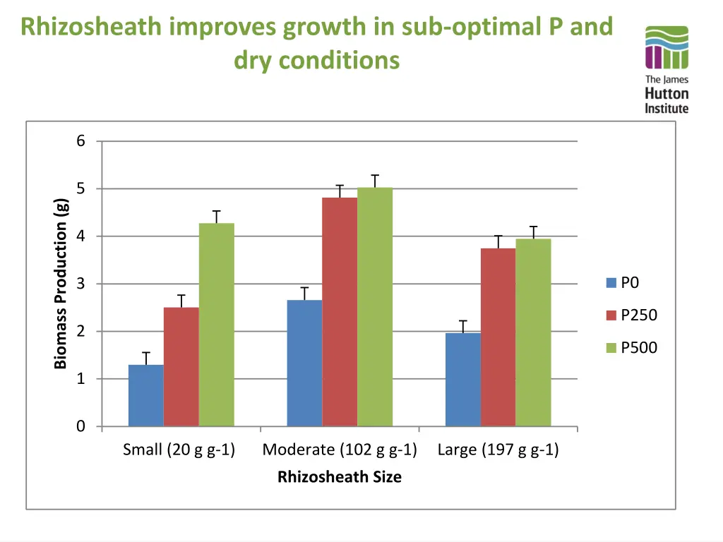 rhizosheath improves growth in sub optimal