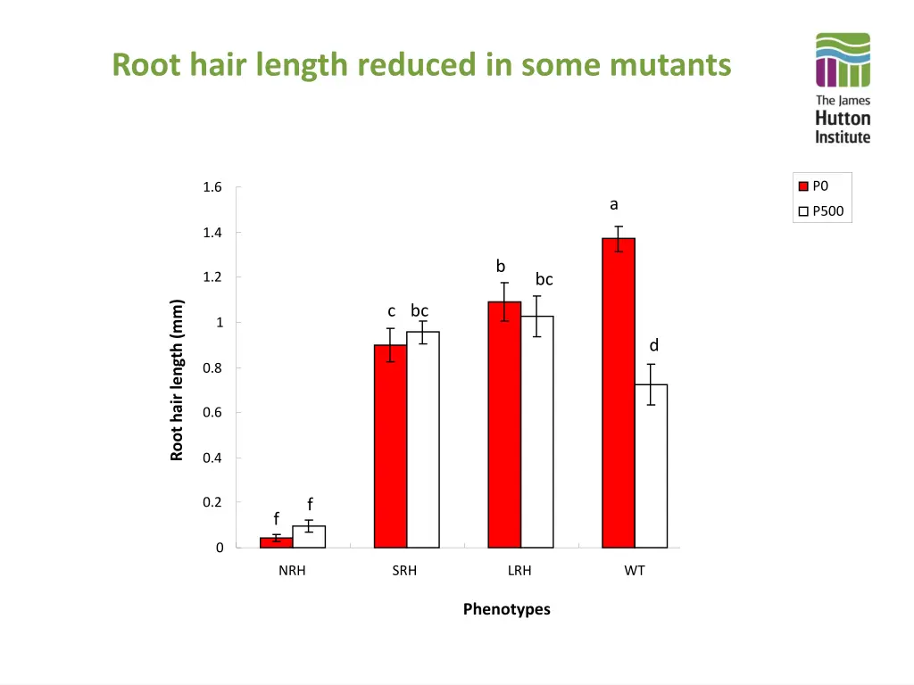 root hair length reduced in some mutants