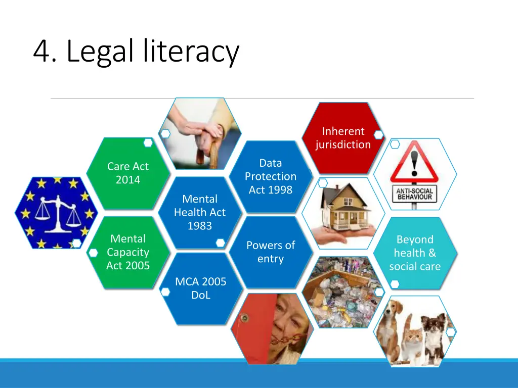 4 legal literacy