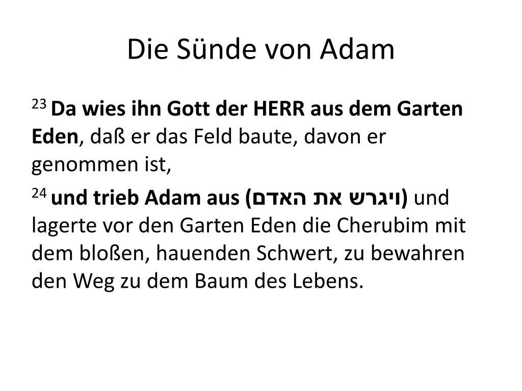 die s nde von adam