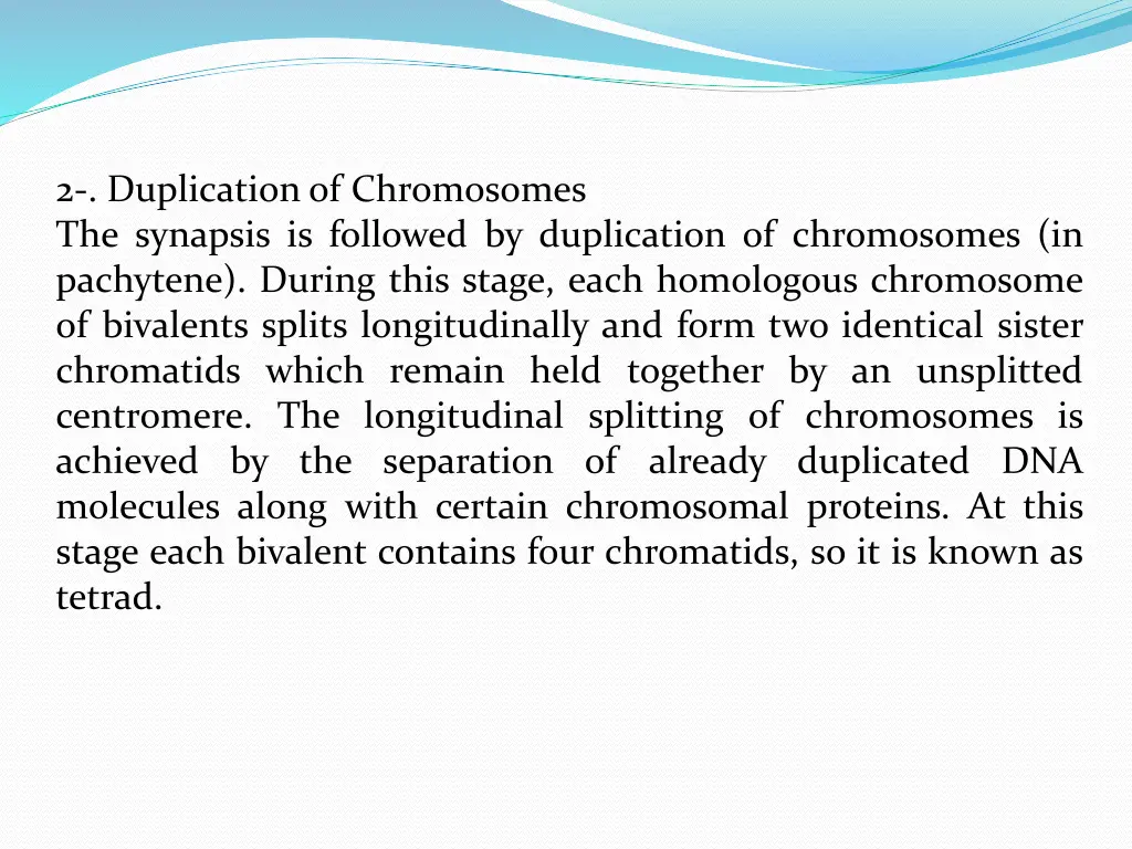 2 duplication of chromosomes the synapsis