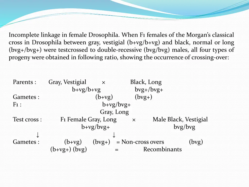 incomplete linkage in female drosophila when