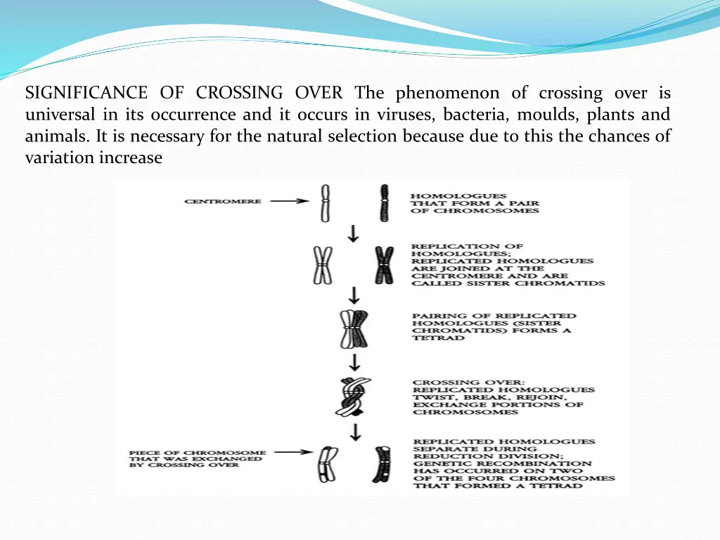 significance of crossing over the phenomenon