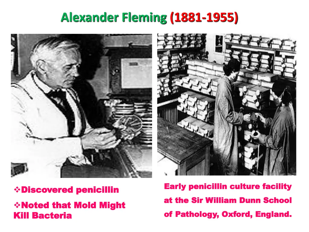 alexander fleming 1881 1955