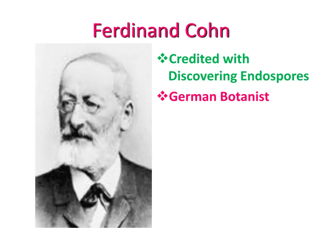 ferdinand cohn