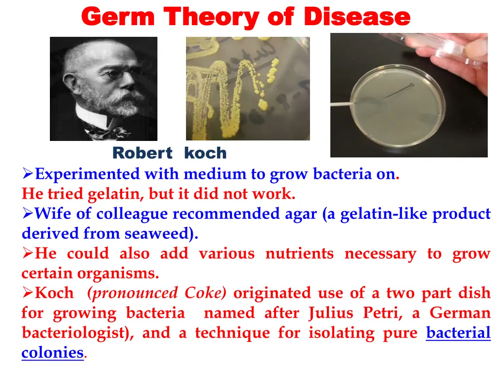 germ theory of disease germ theory of disease