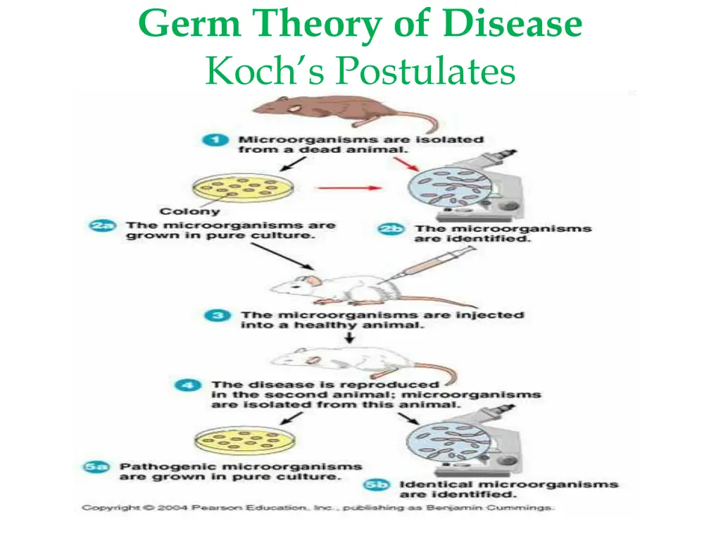 germ theory of disease koch s postulates