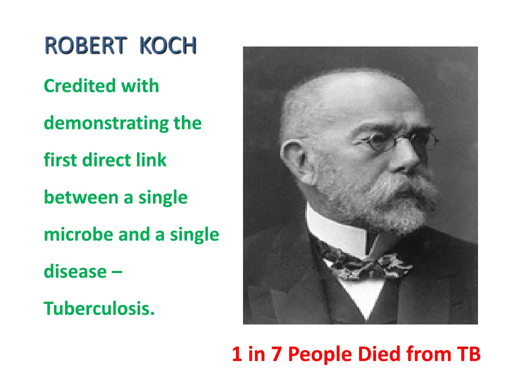 robert koch