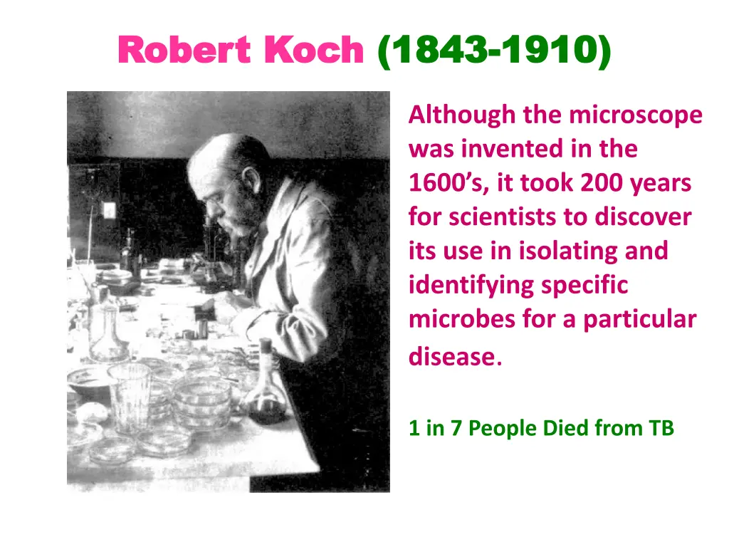 robert koch robert koch 1843