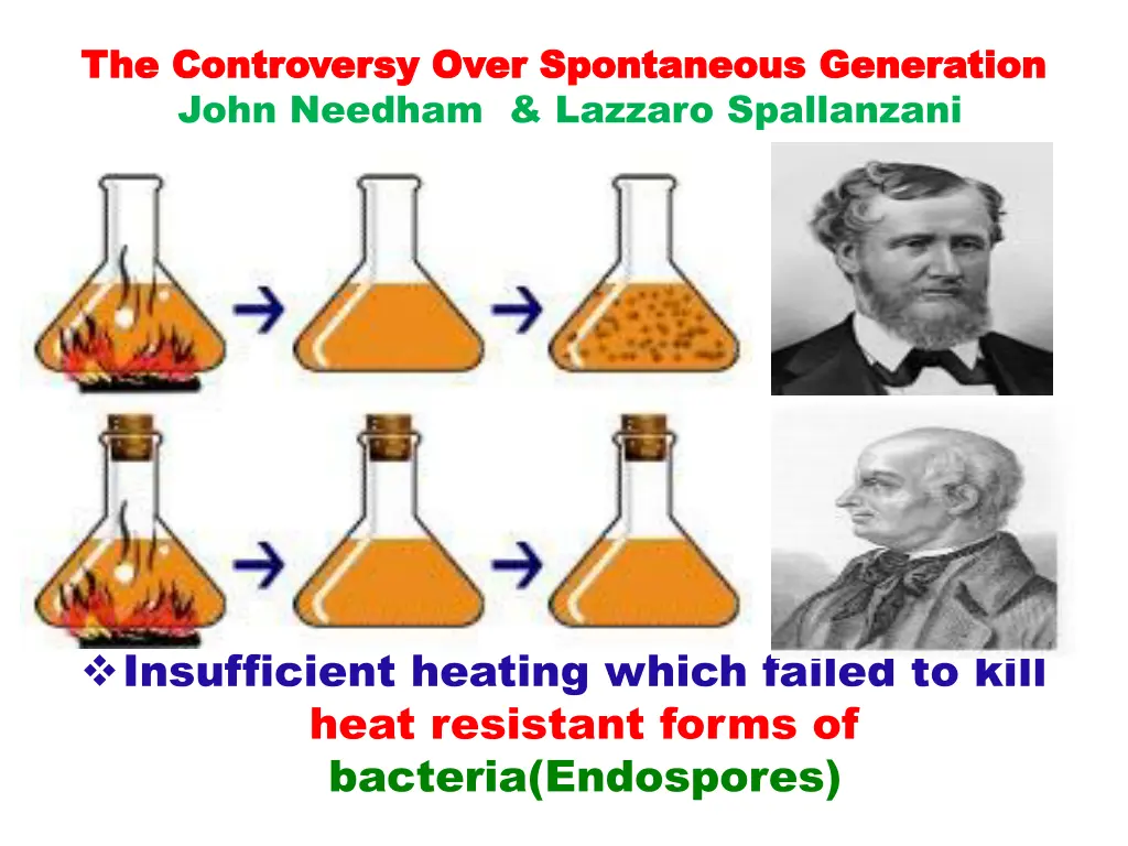 the controversy over spontaneous generation