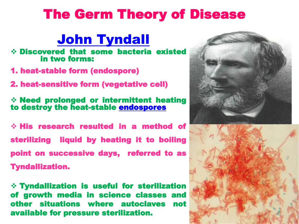 the germ theory of disease the germ theory