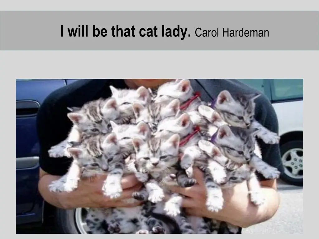 i will be that cat lady carol hardeman