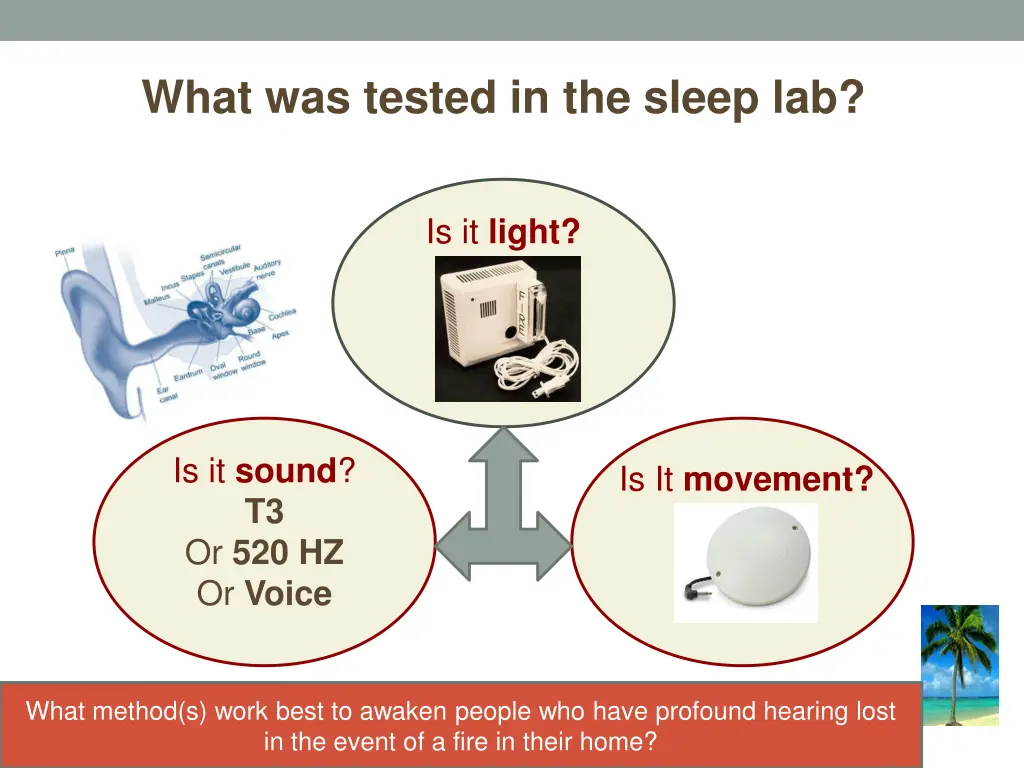 what was tested in the sleep lab