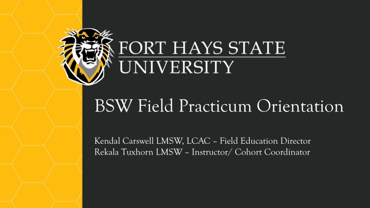 bsw field practicum orientation