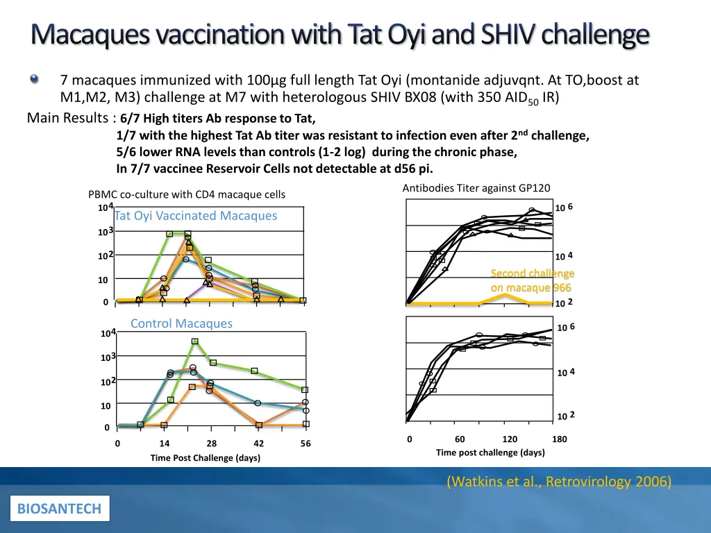 macaques vaccination with tat oyiand shiv